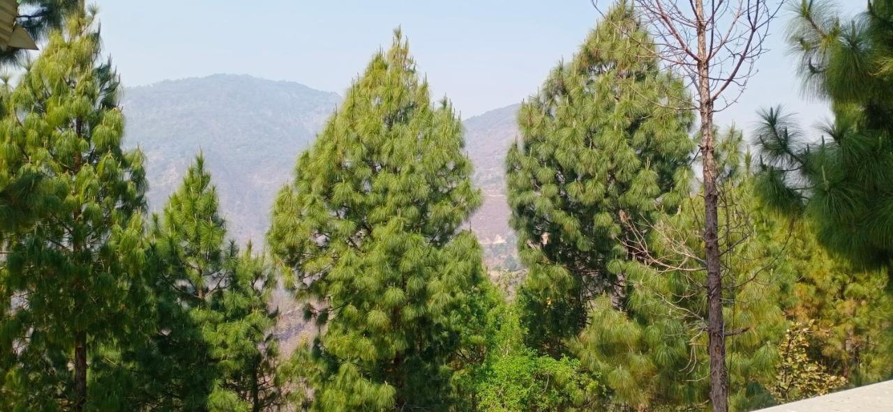Blue Pine Orchards - Villas ลันส์โดว์นี ภายนอก รูปภาพ